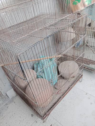 cage for sale