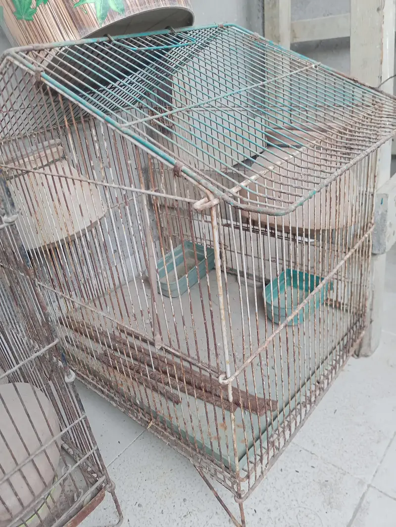 cage for sale — photo 3