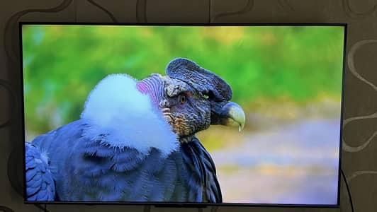 TCL 55inch Smart Android QLED TV
