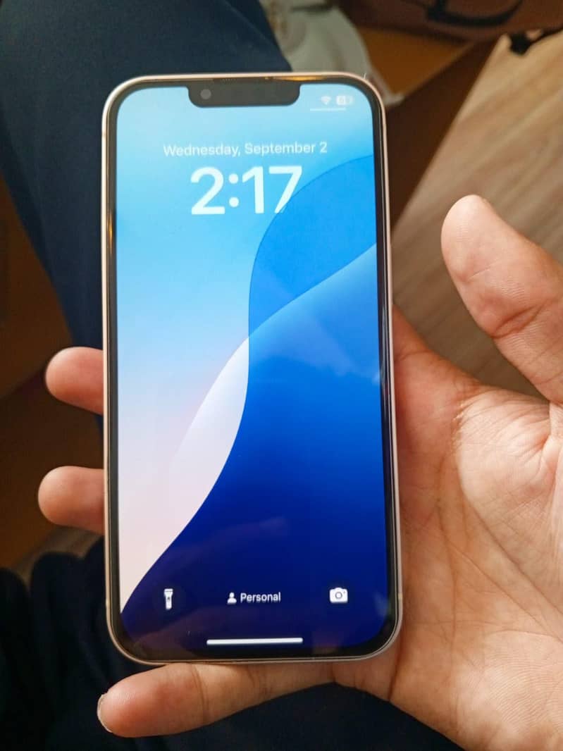 Apple iPhone 13 0
