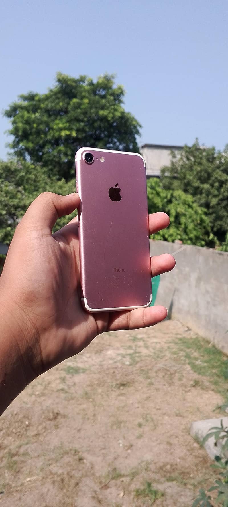 Apple iPhone 7 3