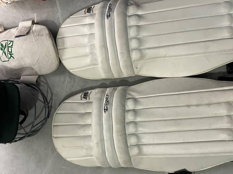 cricket kit 4