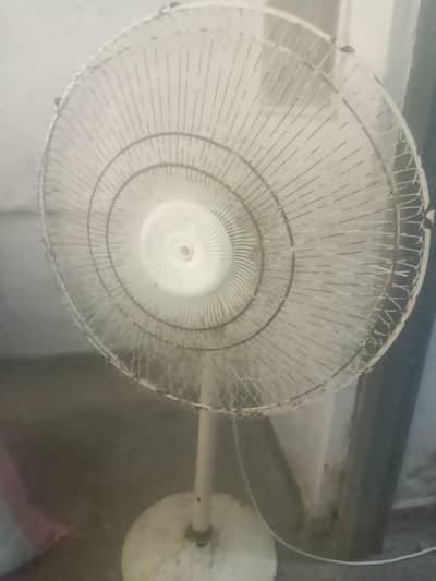 parko fan ok hai only serious buyer contact