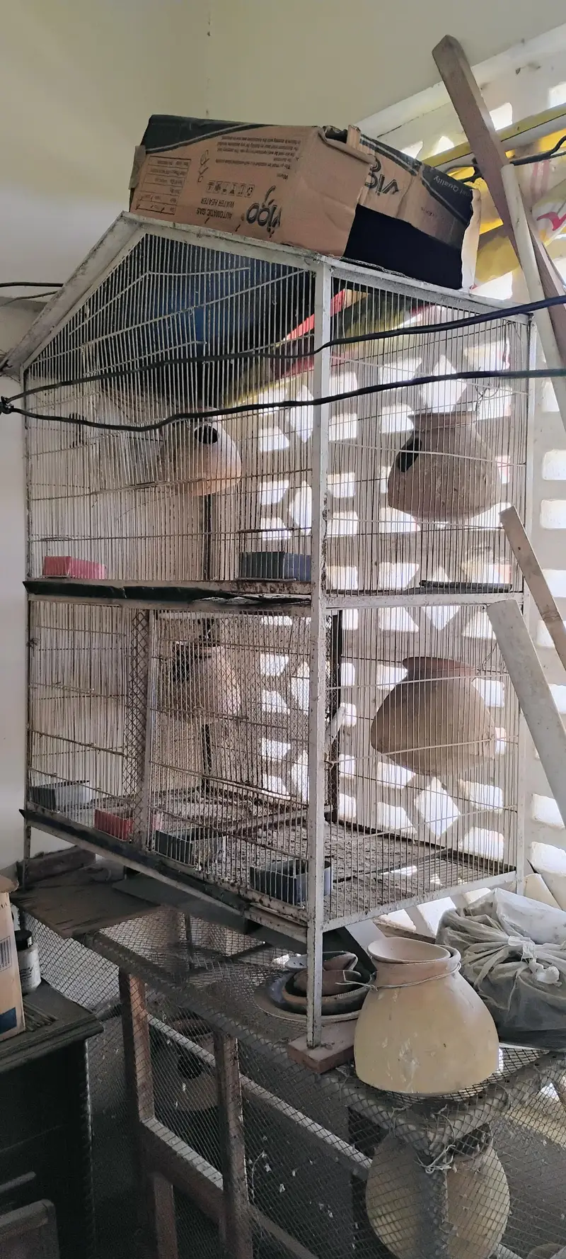 cage 3 portion for birds — photo 2