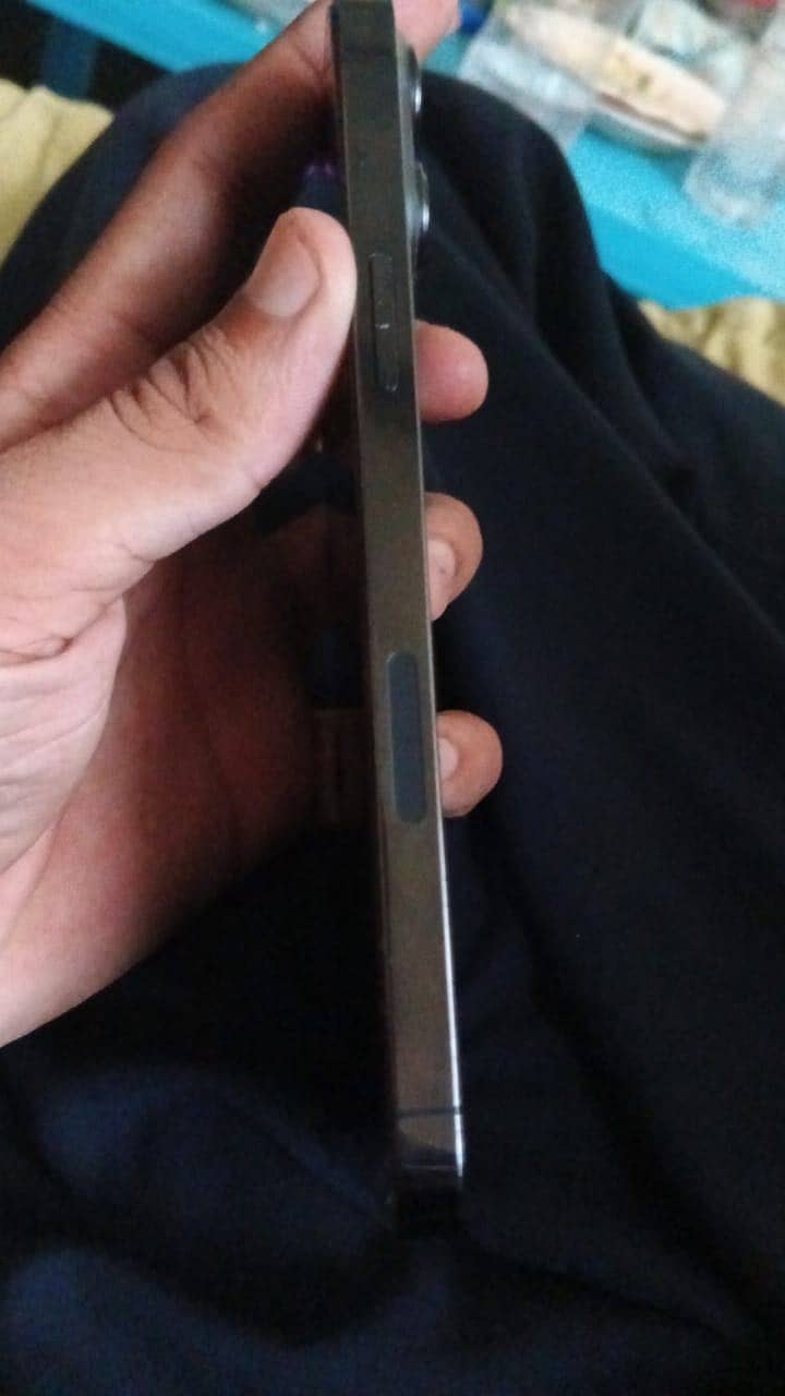 Apple iPhone 13 Pro Max 2