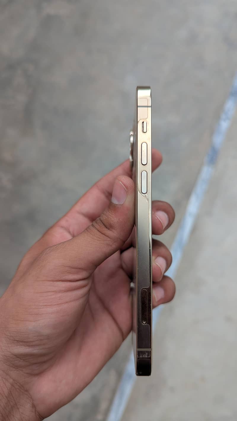 Apple iPhone 12 Pro 1