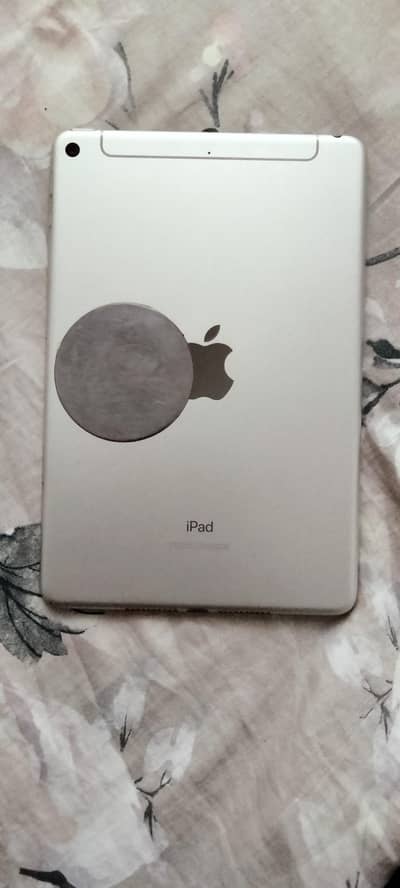 Ipad mini 5
