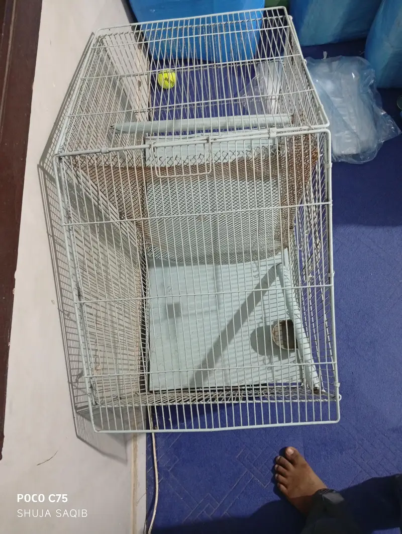 LARGE CAGE FOR SALE URGENT — photo 2