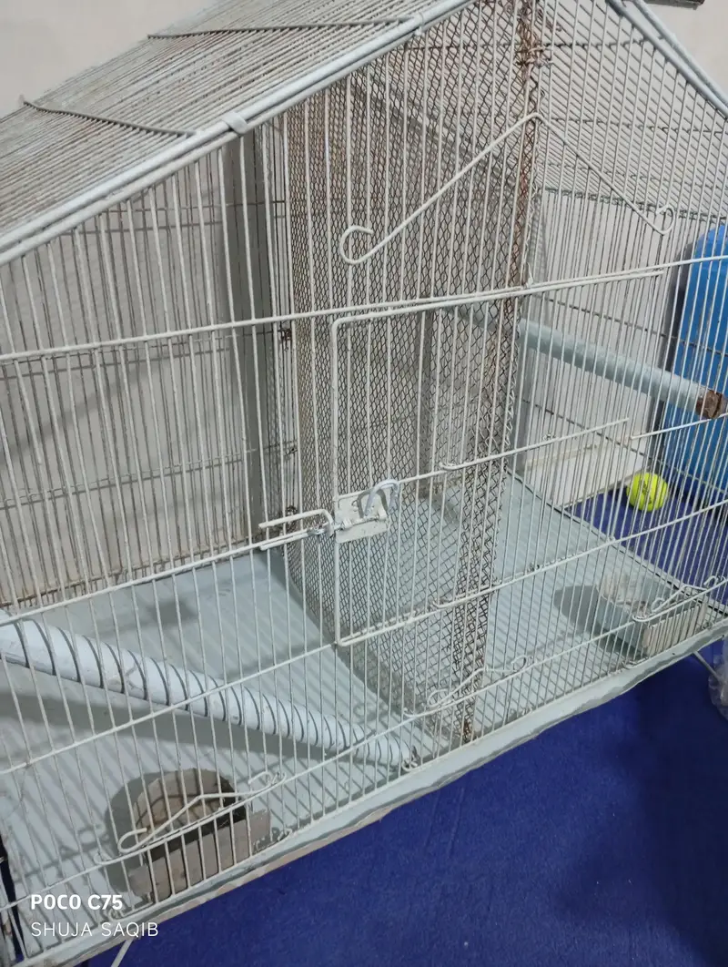 LARGE CAGE FOR SALE URGENT — photo 3