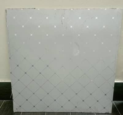 PVC Ceilings 2x2