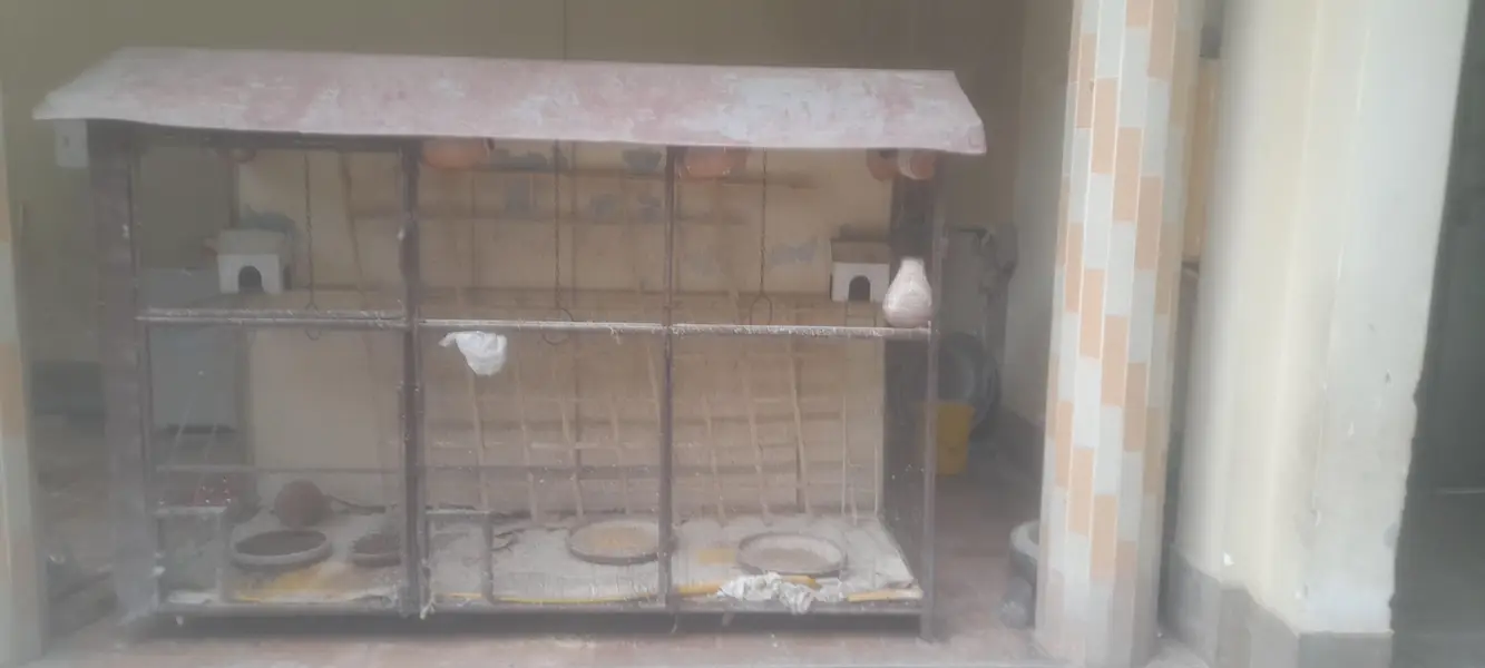 Cage for sales — photo 3