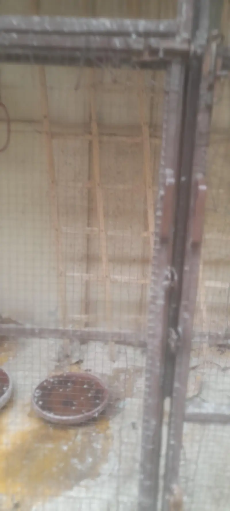 Cage for sales — photo 7