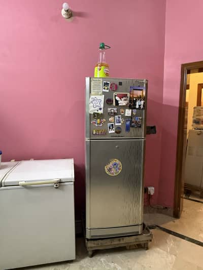 PEL Refrigerator 2door