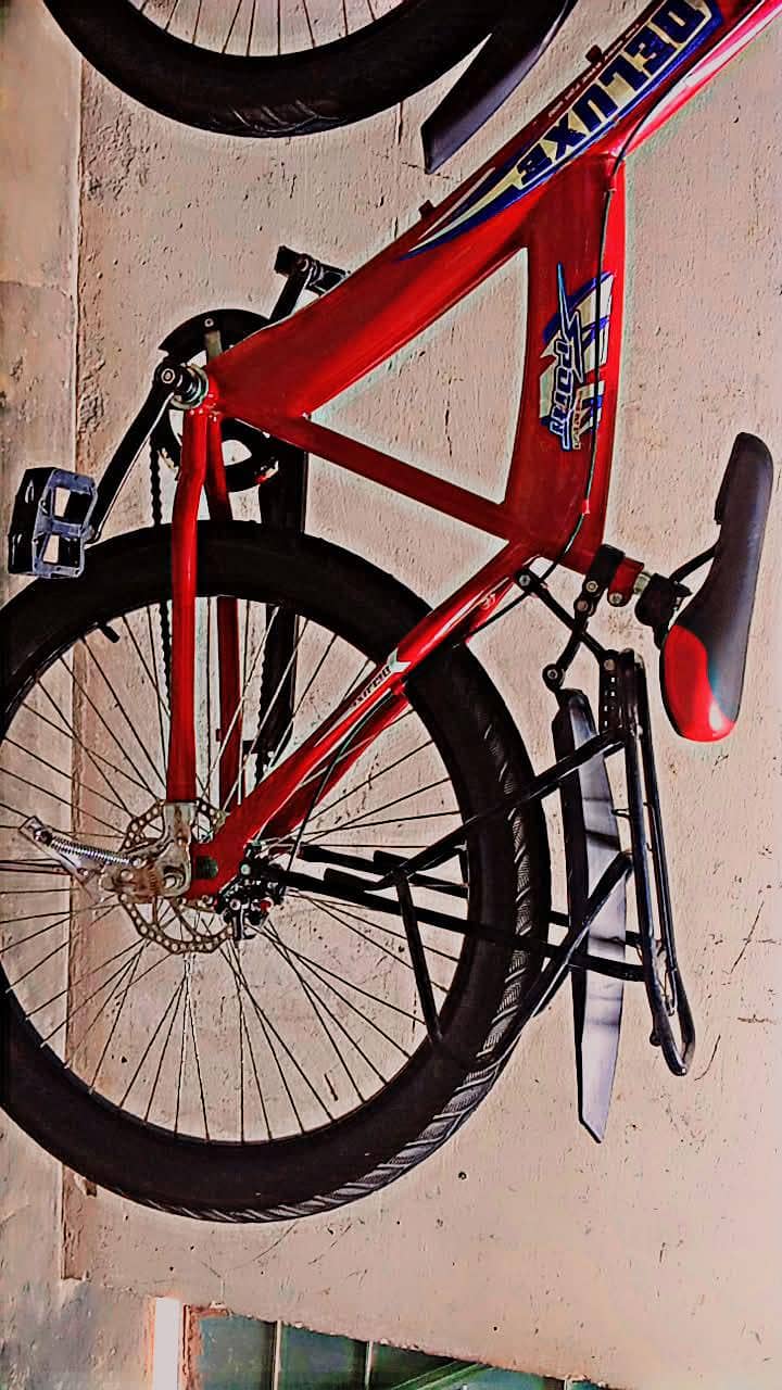 cycle 4