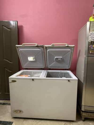 2 Door Freezer