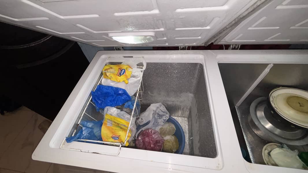 D freezer 4