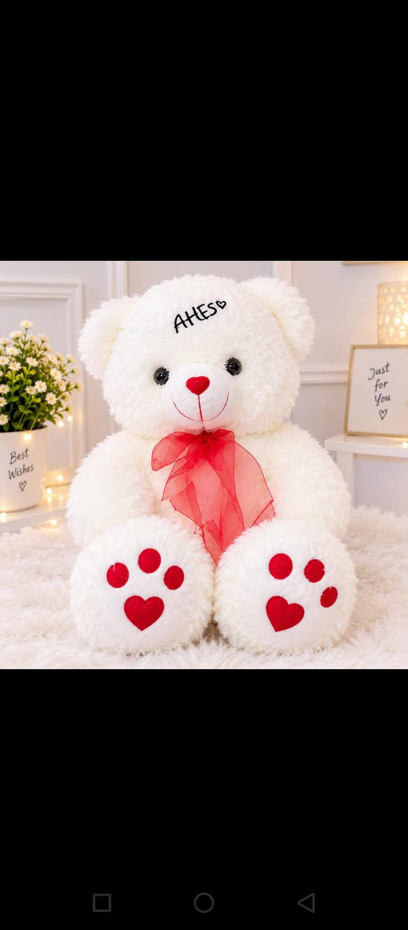Teddy bear 1
