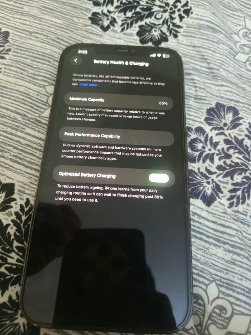 12 pro max 5