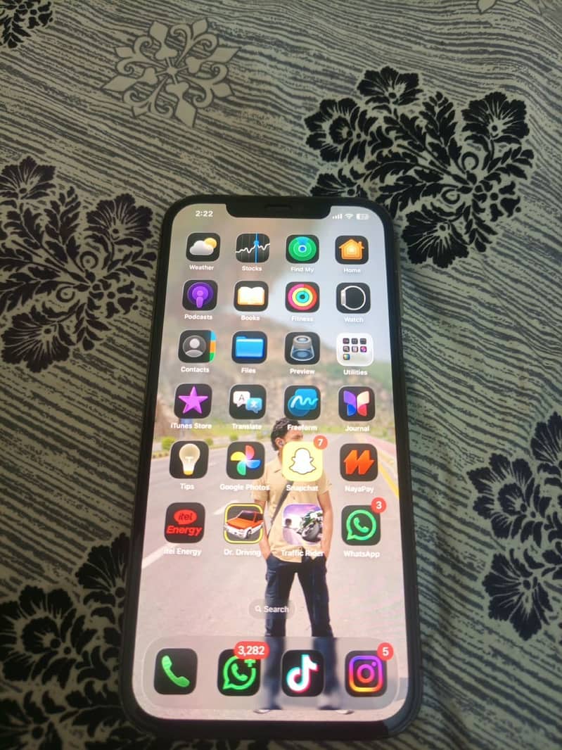 12 pro max 6