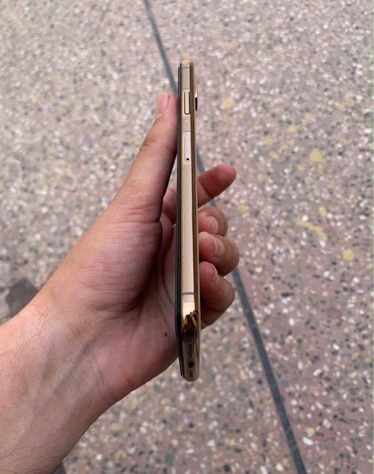 Apple iPhone XS Max 1