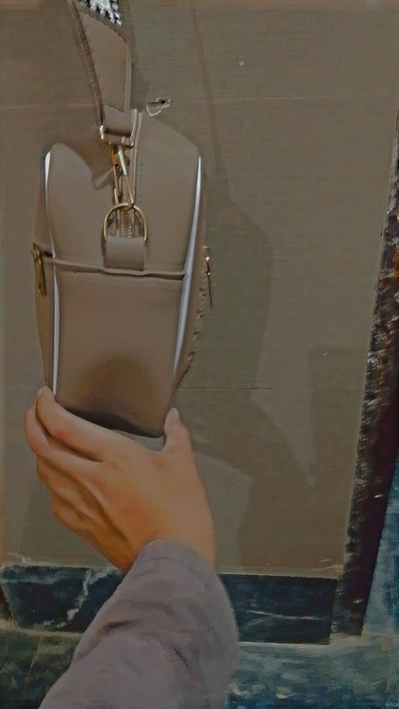 trending bag 1