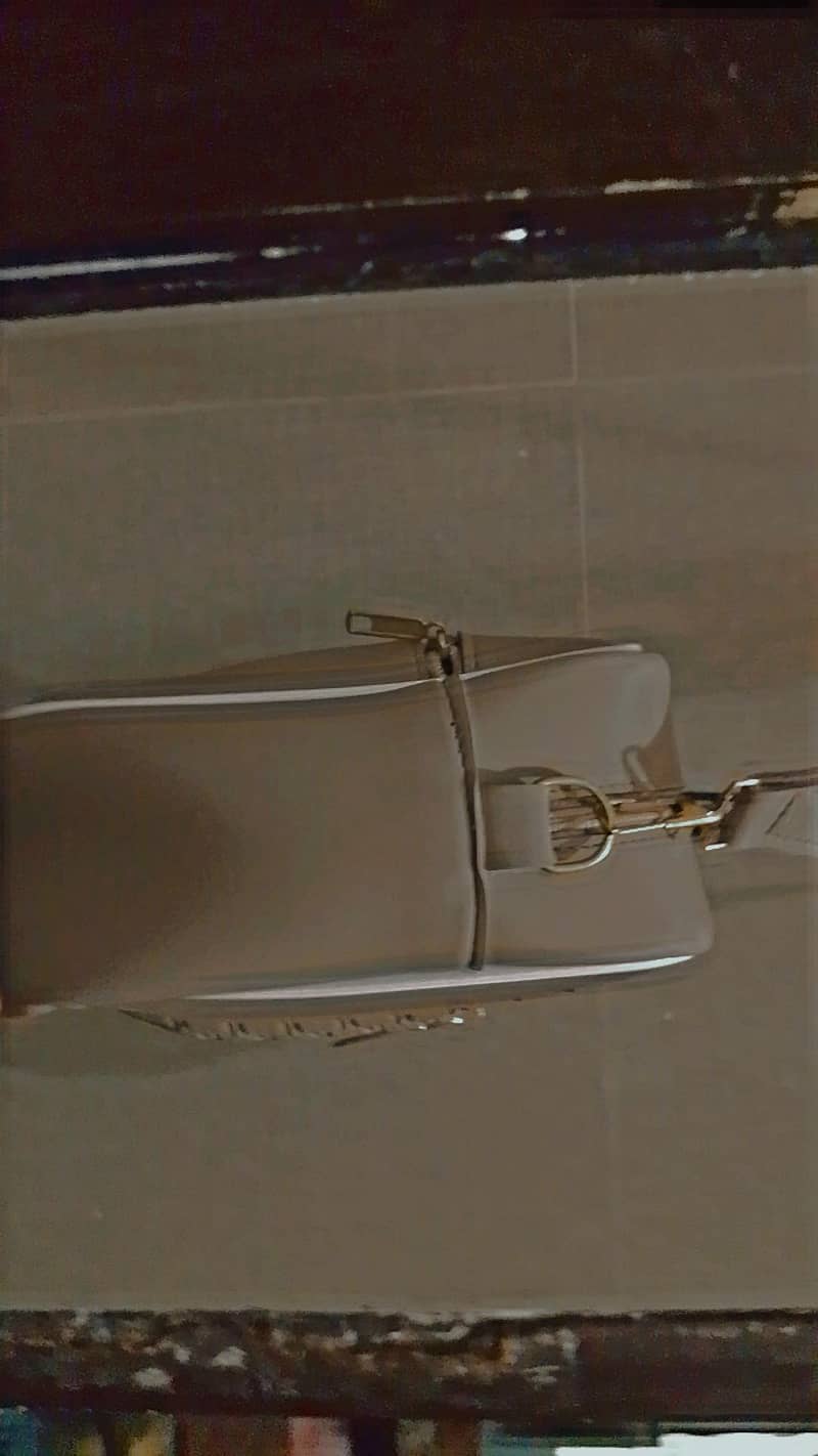 trending bag 2