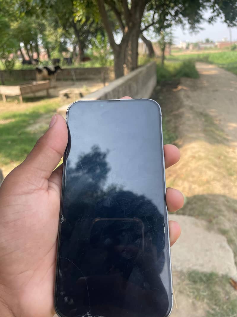Apple iPhone 13 Pro Max 2