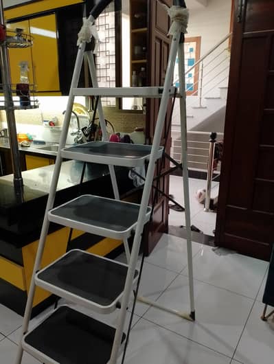 ladder
