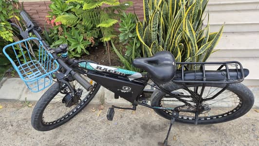 EV electric bicycle