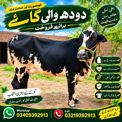 sweedn frizen first time mun sy 4 dnt tazi 14 ltr 03409392913 WhatsApp