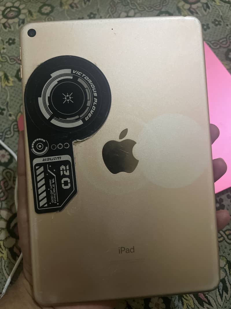 Ipad mini 5 0