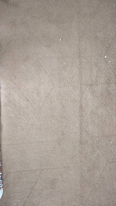 Carpet For Sale