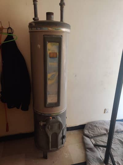 Citizen Geyser