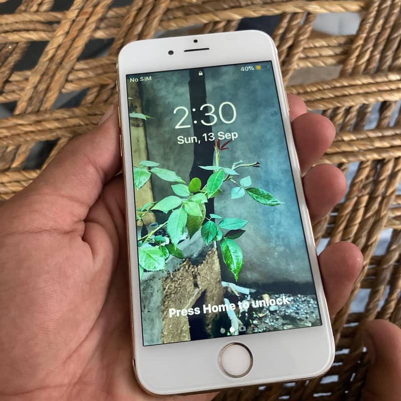 Apple iPhone 6 9