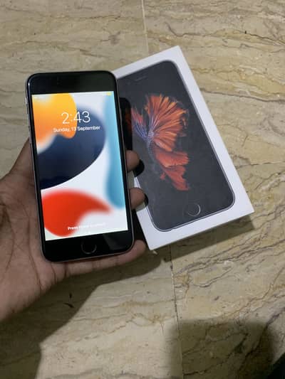 Apple iPhone 6S 64Gb