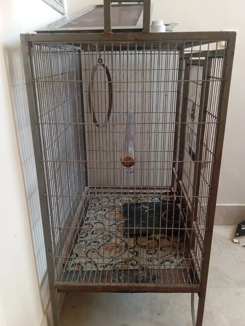 Big parrot cage for sale — photo 2