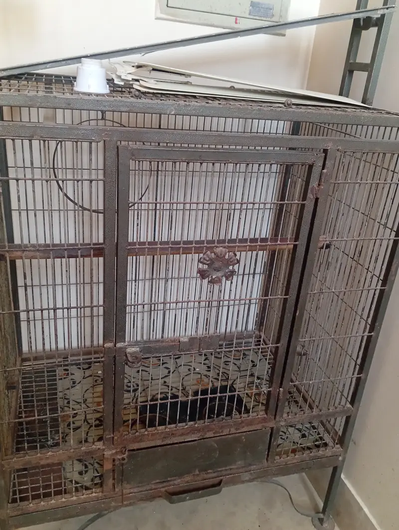 Big parrot cage for sale — photo 3