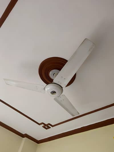 Royal ceiling Fan