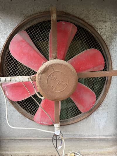 6 wing cooler