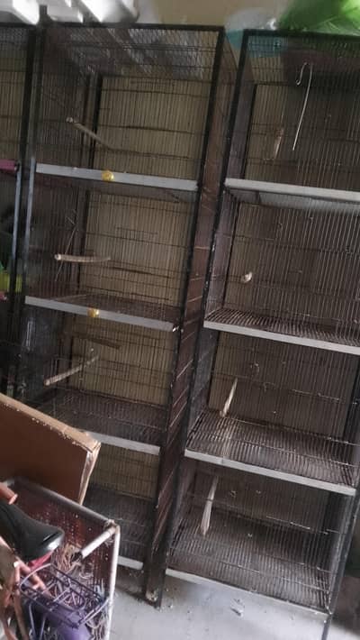 birds cages