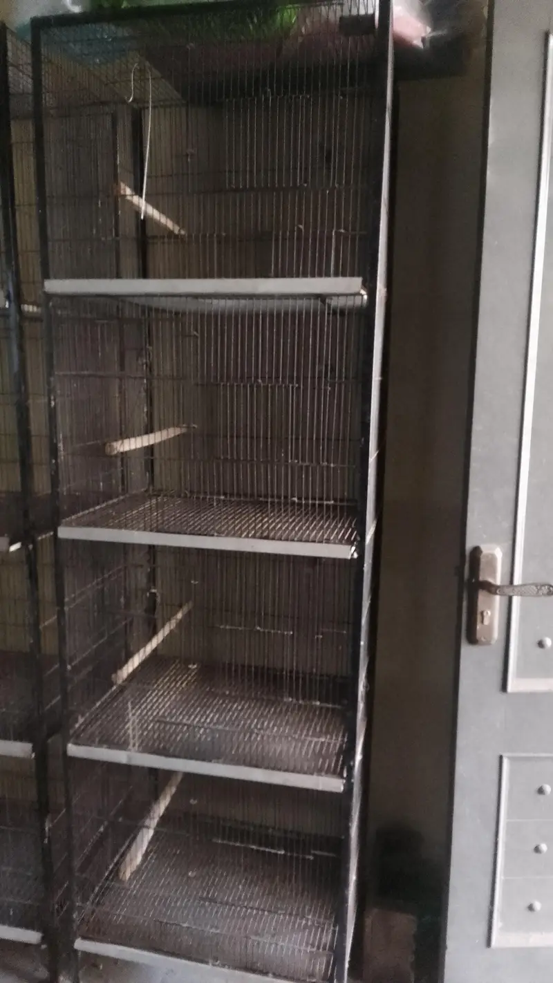 birds cages — photo 2
