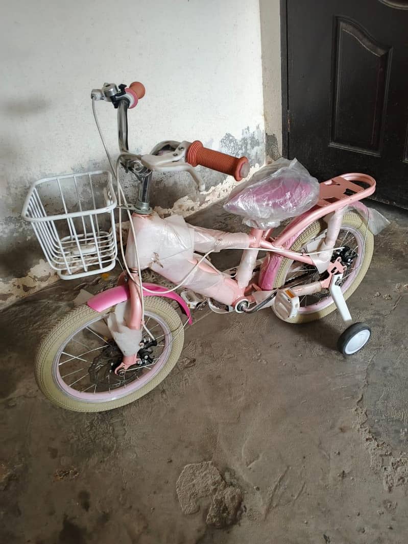 bicycle 0