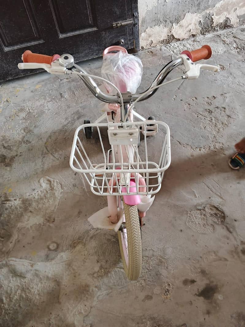 bicycle 1