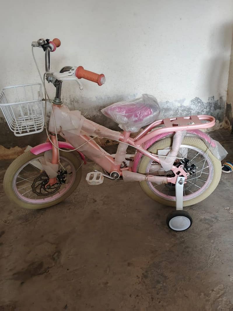 bicycle 2