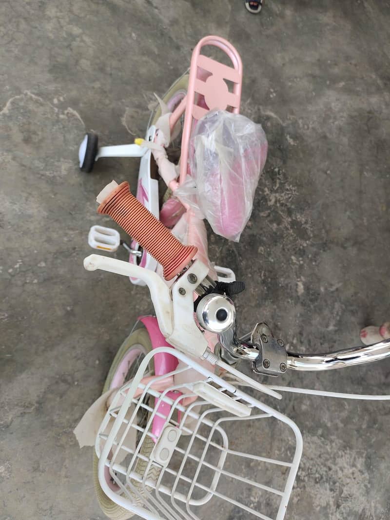 bicycle 6