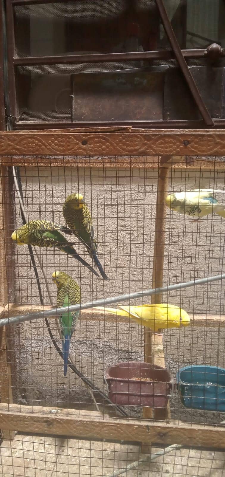 undefined 1