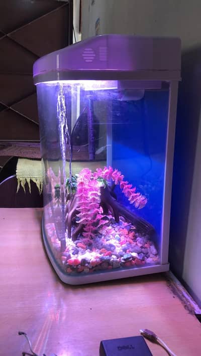 MinJiang HR3 380 Curved Glass Aquarium Set with LED & Filter