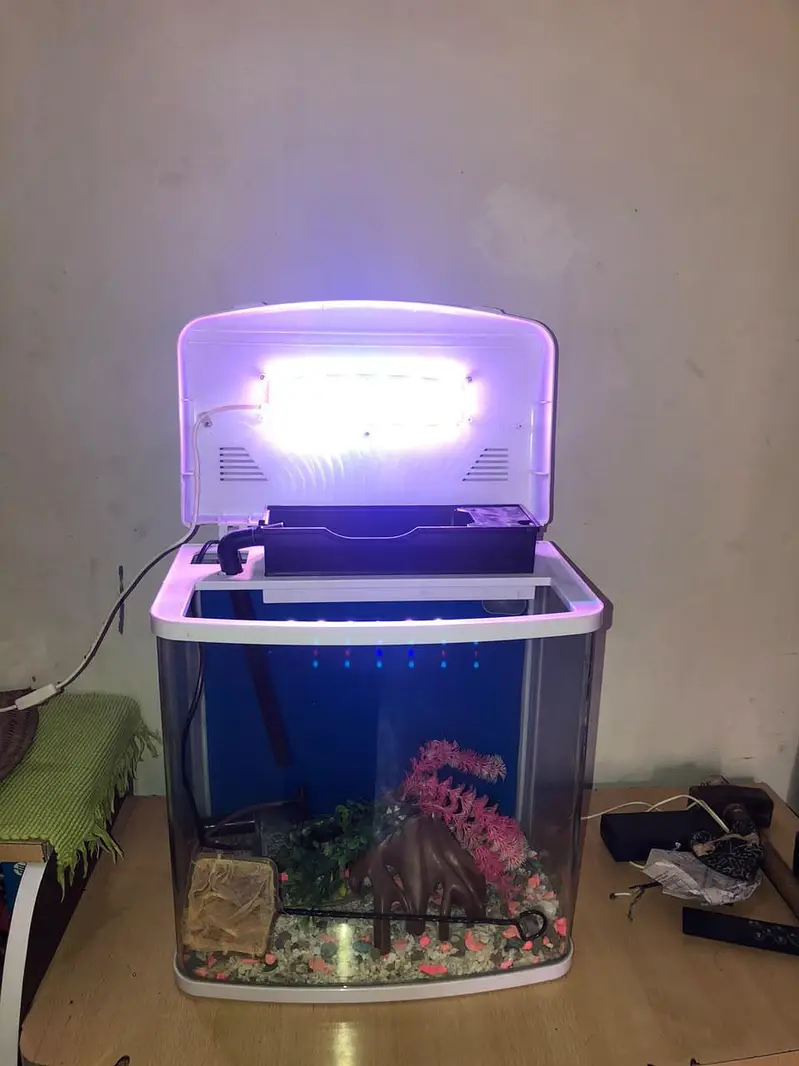 MinJiang HR3 380 Curved Glass Aquarium Set with LED & Filter — photo 3