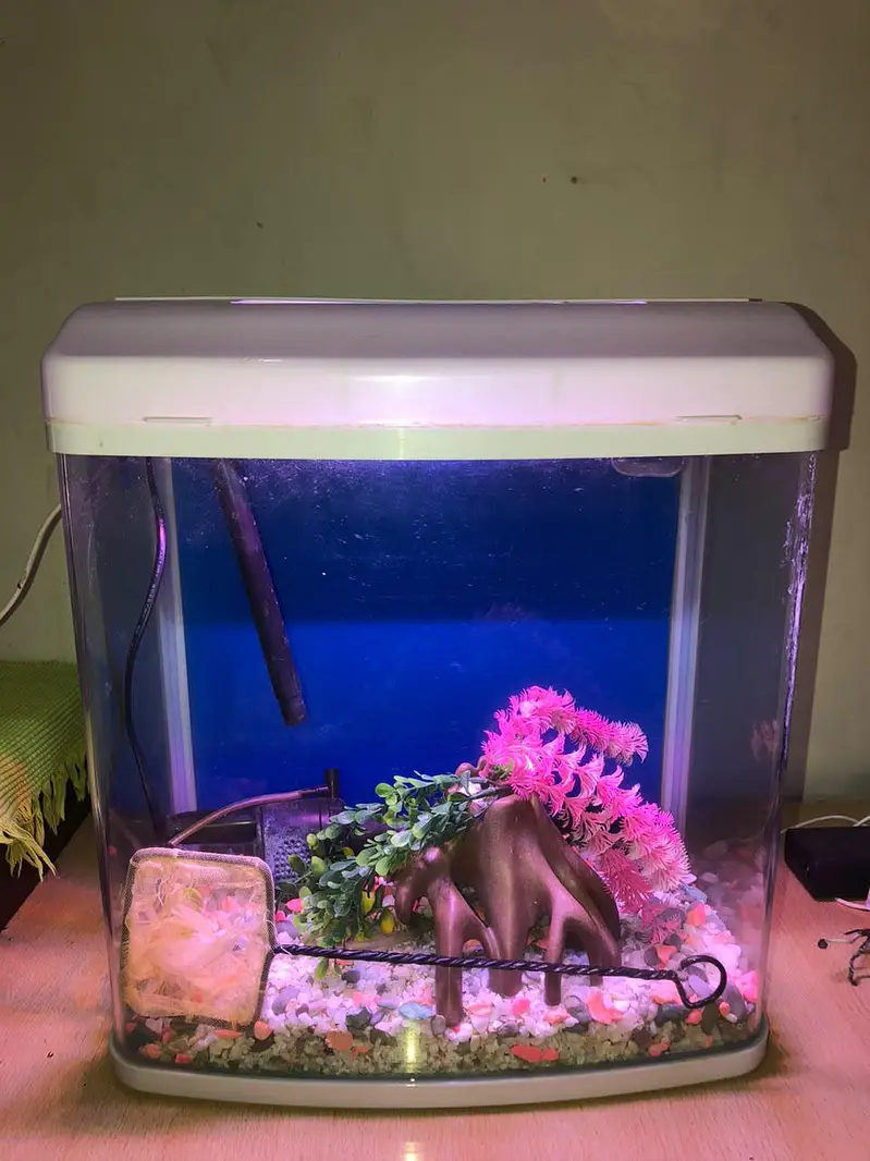 MinJiang HR3 380 Curved Glass Aquarium Set with LED & Filter — photo 4