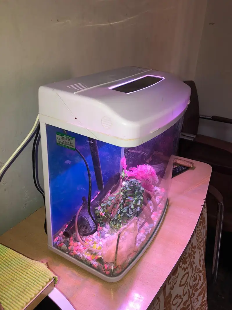 MinJiang HR3 380 Curved Glass Aquarium Set with LED & Filter — photo 5
